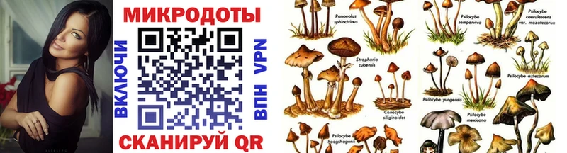 Псилоцибиновые грибы Psilocybe  blacksprut   Новоалтайск  купить наркотик 