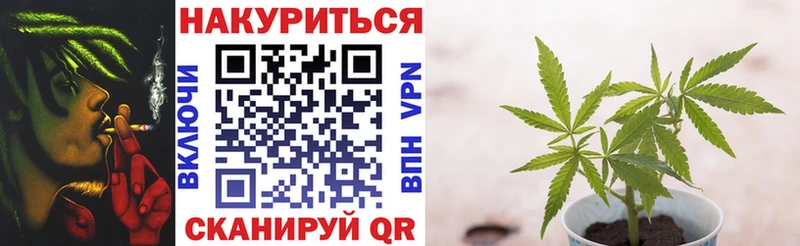 МЕГА зеркало  сколько стоит  Новоалтайск  Шишки марихуана сатива 